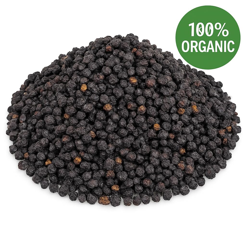 Organic Bio Herbs elderberry fruit jar on shelf for easy pantry storage and measured use.