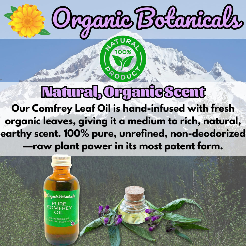 Organic Botanicals Comfrey Leaf Oil spoon and oil texture in background.