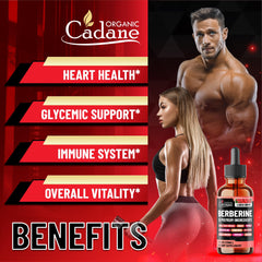 Organic Cadane Berberine Drops ingredients closeup shows ten botanicals.