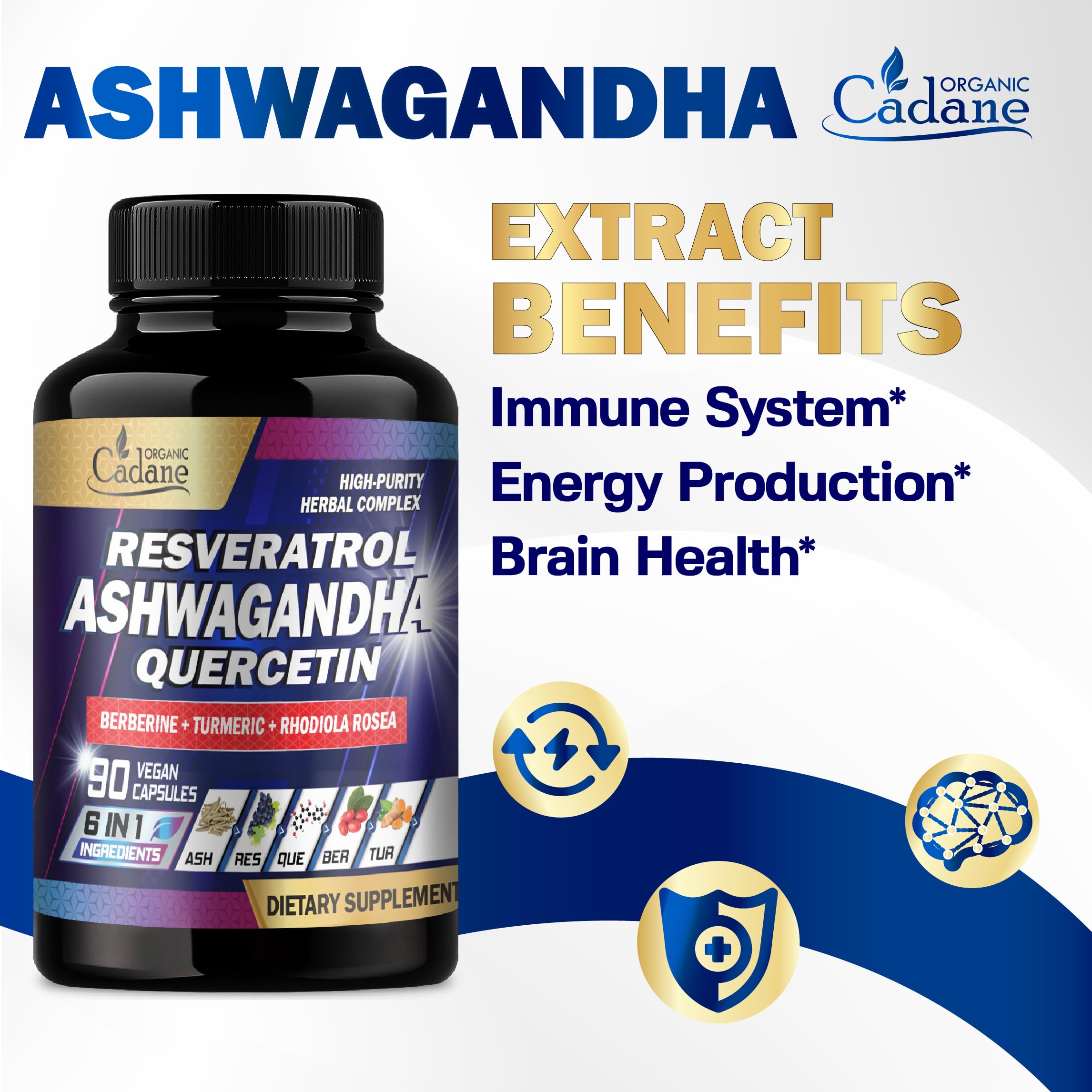Organic Cadane berberine and turmeric capsules for balanced wellness