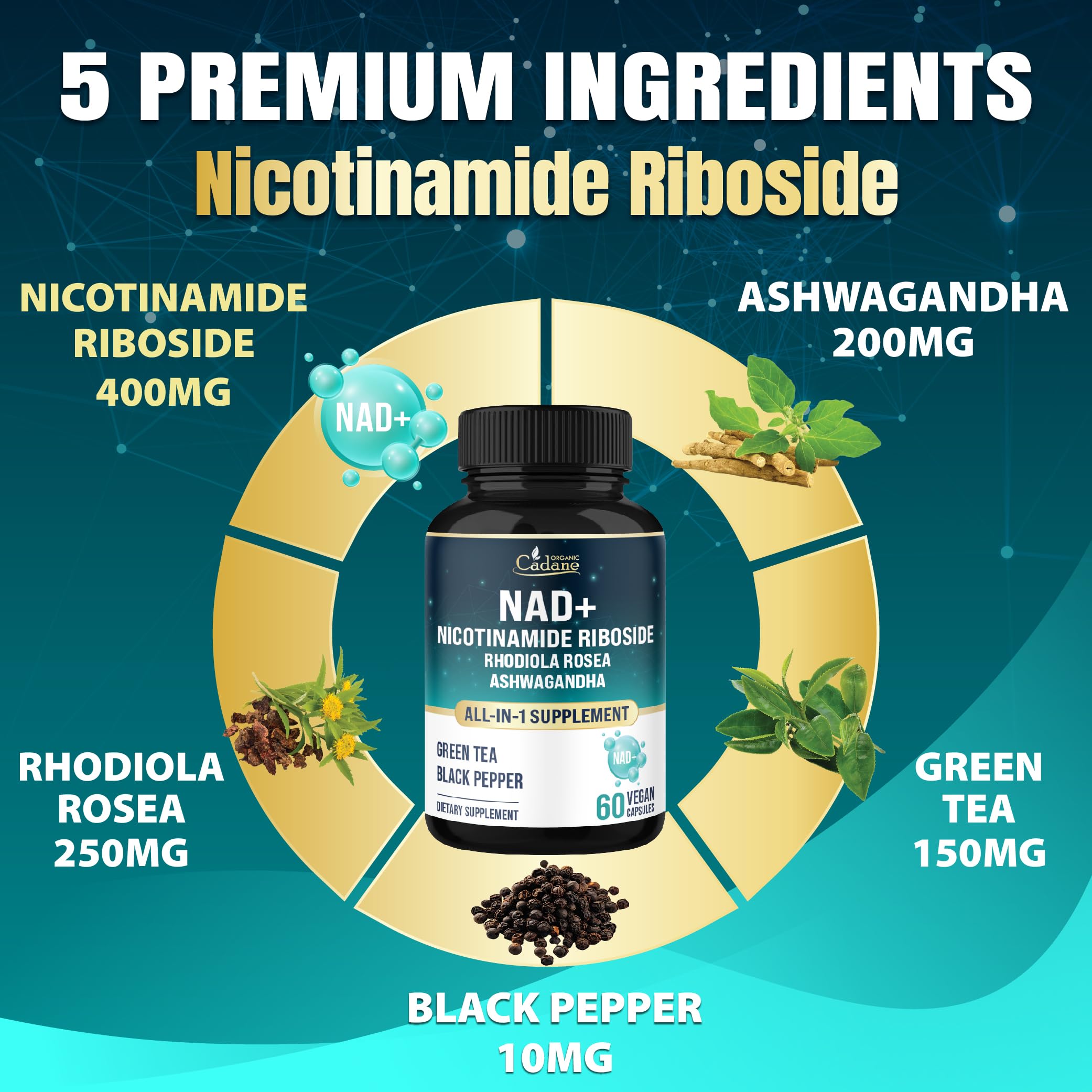 Organic Cadane ingredient blend with Rhodiola and Ashwagandha signals synergy