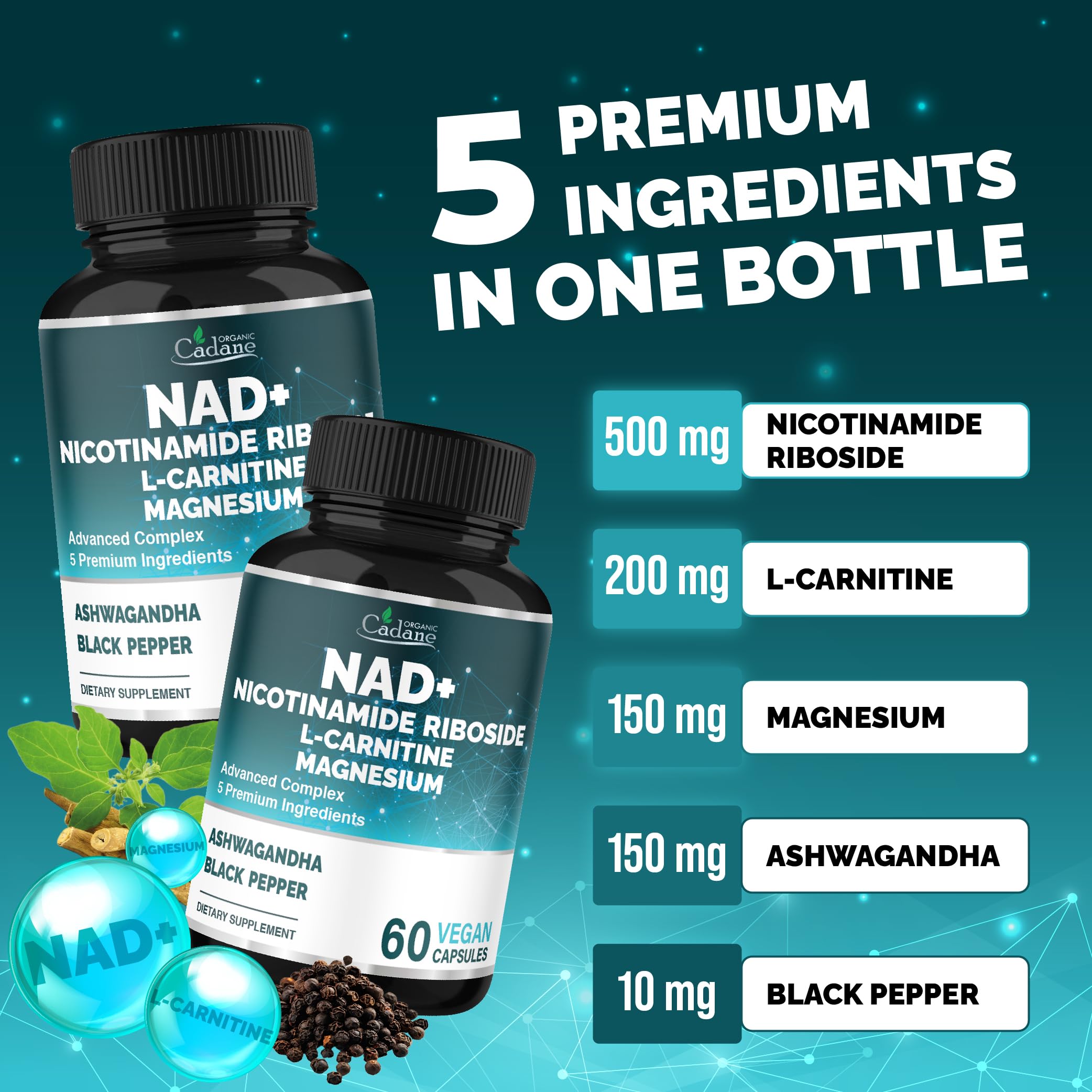 Organic Cadane ingredients label highlighting NR and L-Carnitine