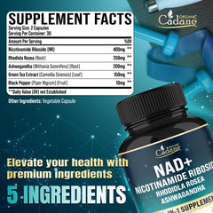 Organic Cadane capsules ready for daily intake to support energy and focus