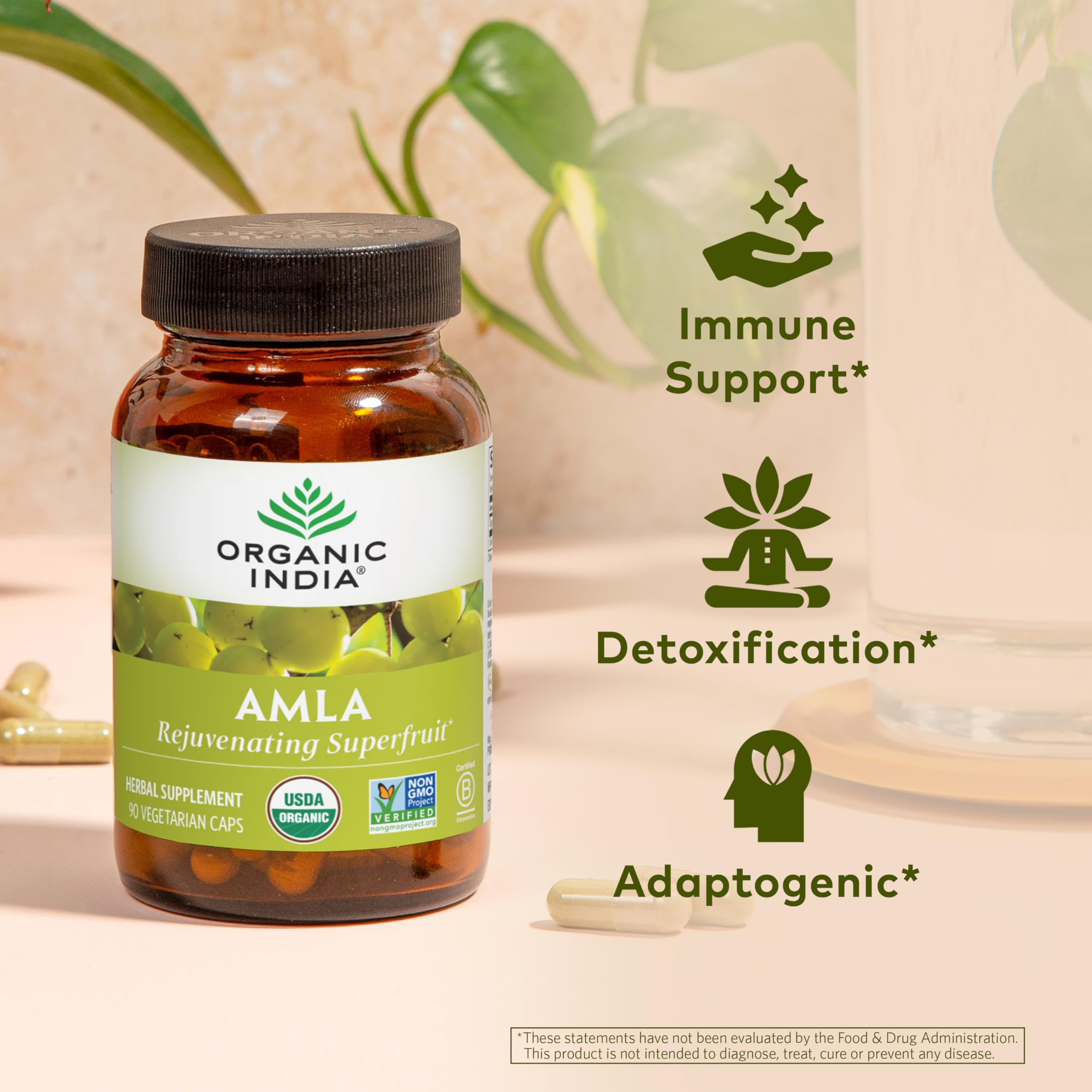 Organic India Amalaki bottle back shows ingredients and daily dosage for wellness.