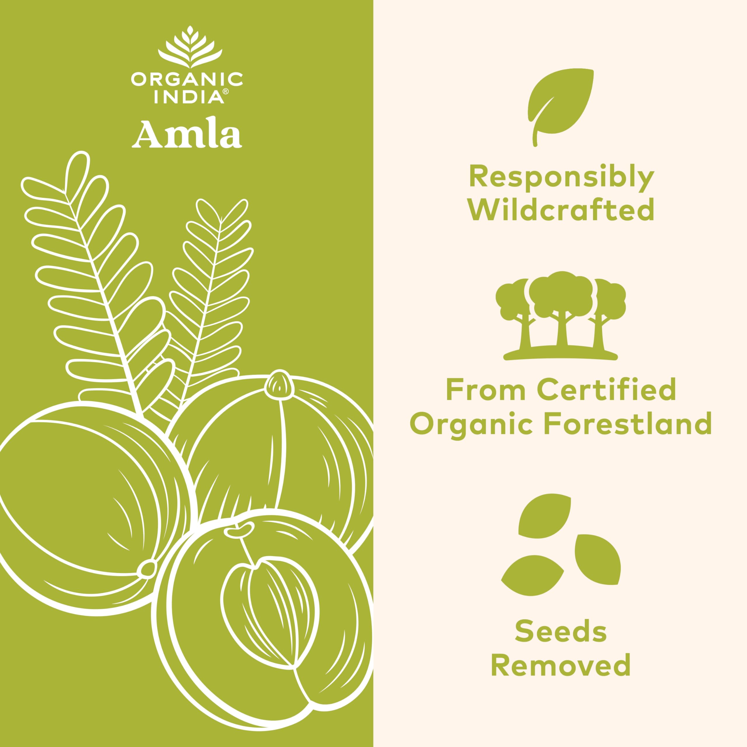 Close-up of ORGANIC INDIA Amla capsules showing natural color and smooth texture.
