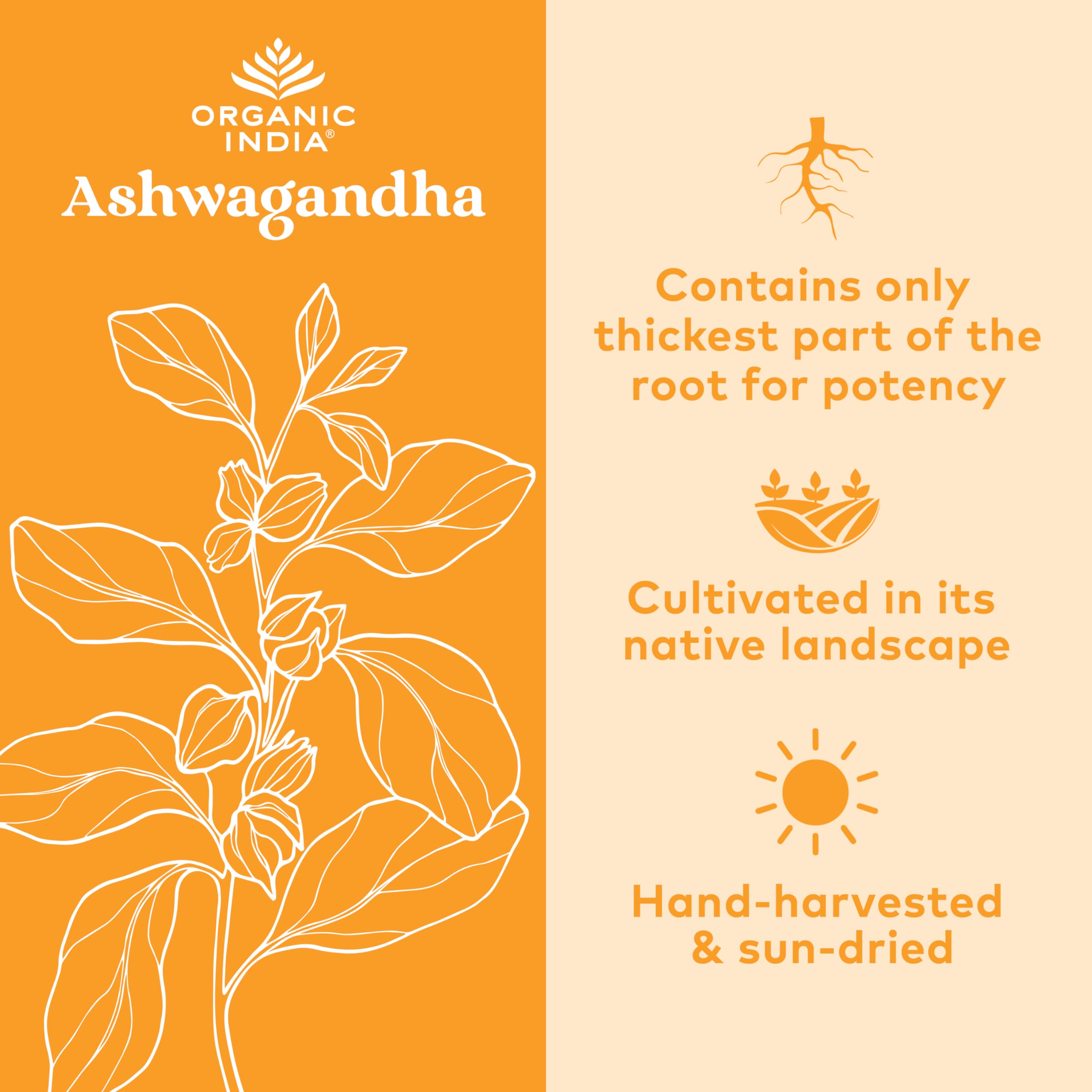 Organic India Ashwagandha capsules pour into spoon for easy daily use
