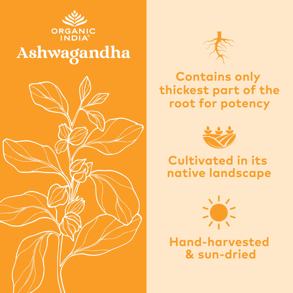 Organic India Ashwagandha capsules pour into spoon for easy daily use