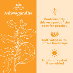Organic India Ashwagandha capsules pour into spoon for easy daily use