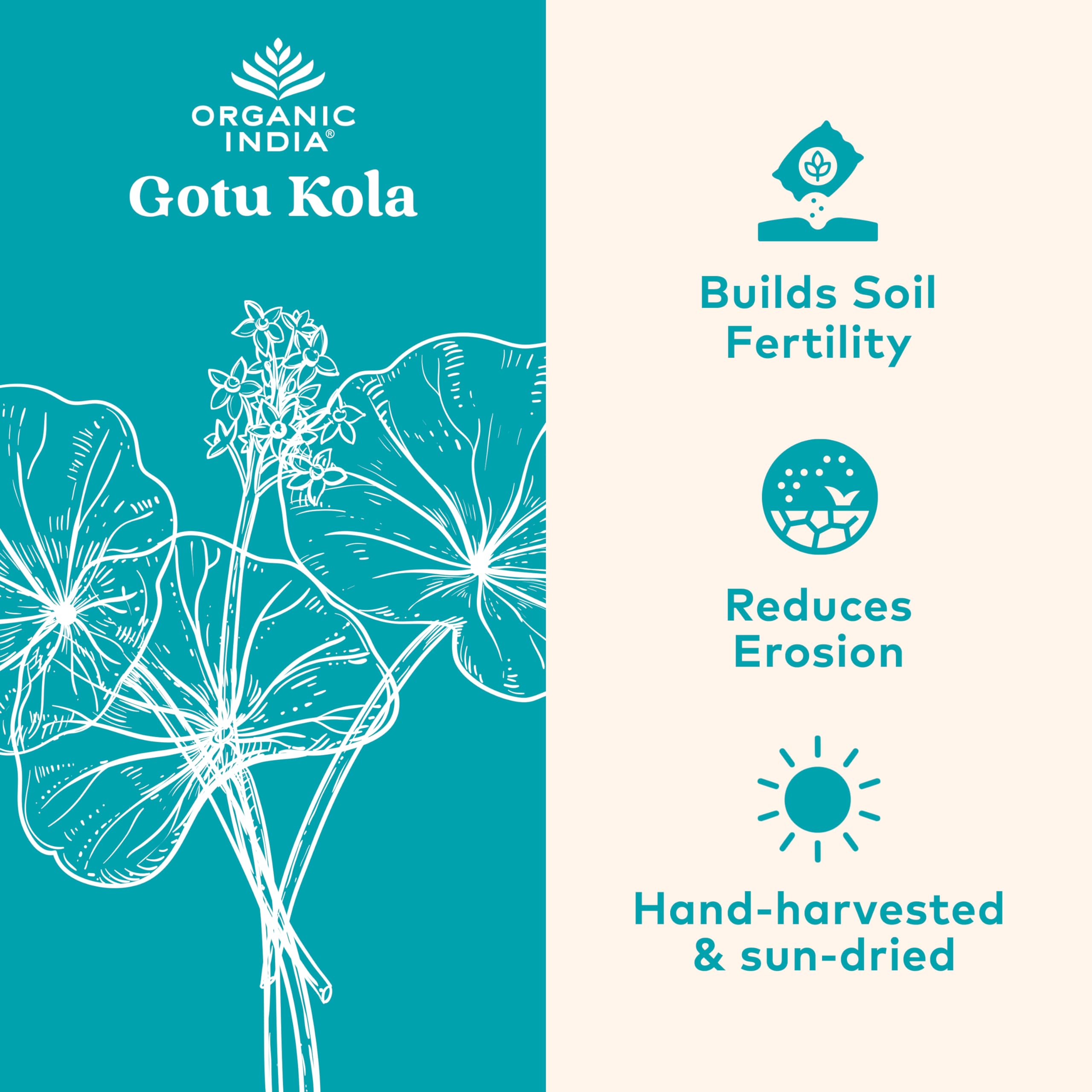 Organic India Gotu Kola bottle front for daily adaptogen routine.