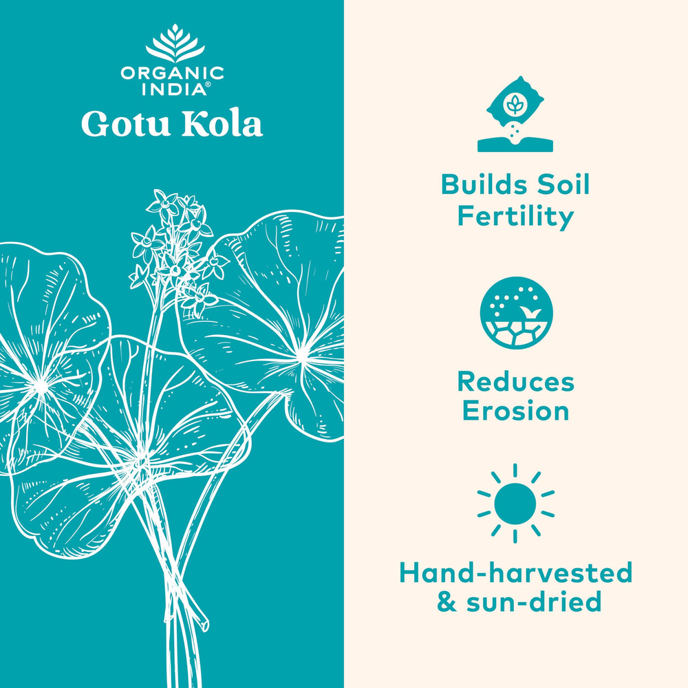 Organic India Gotu Kola bottle front for daily adaptogen routine.