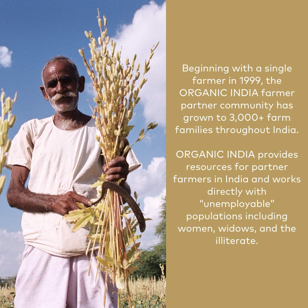 Organic India Memory bottle on shelf ready for everyday mental clarity routine.