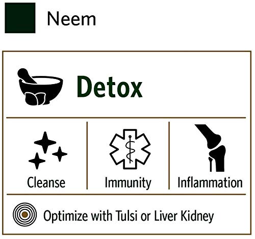 Neem capsules arranged with leaves imply natural wellness benefits