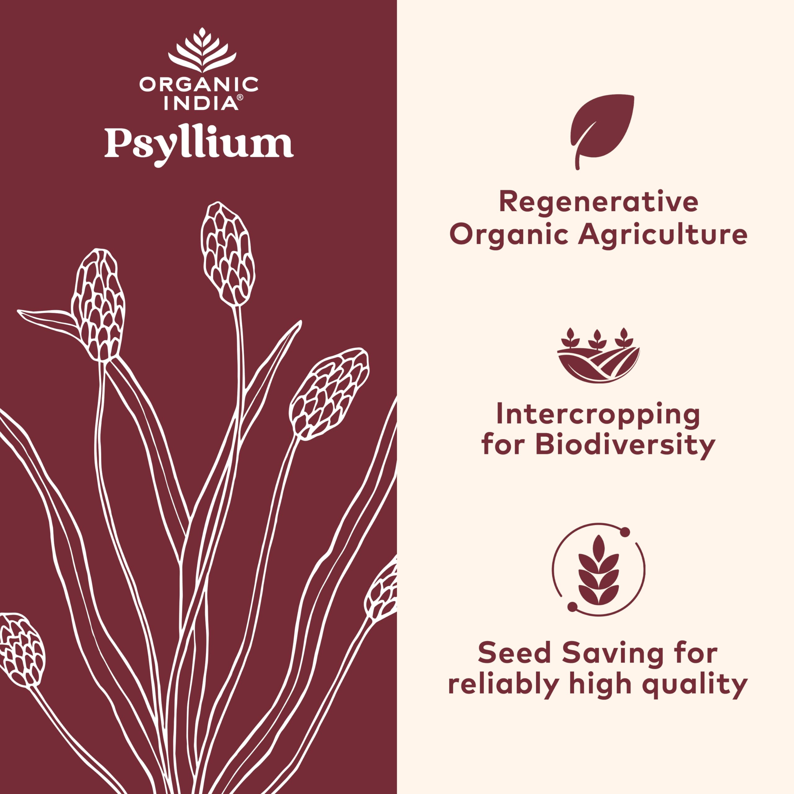 Organic India Psyllium capsules pack designed for vegan, gluten-free fiber routines
