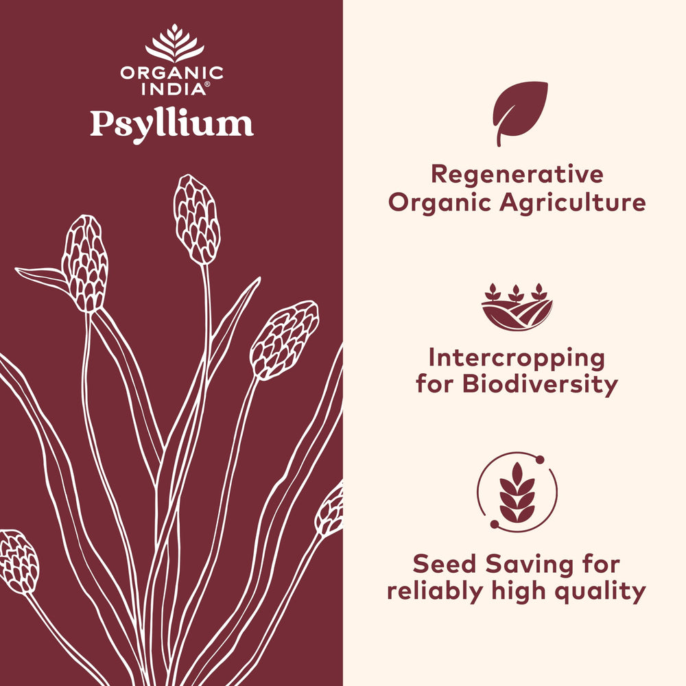 Organic India Psyllium capsules pack designed for vegan, gluten-free fiber routines