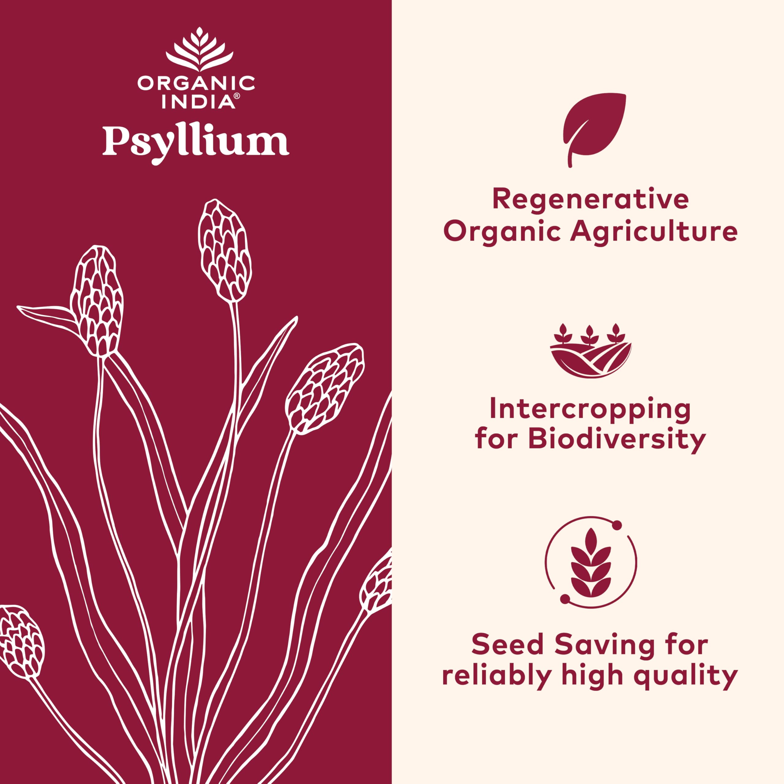 Organic India Psyllium Powder bottle showcases vegan, gluten-free fiber supplement