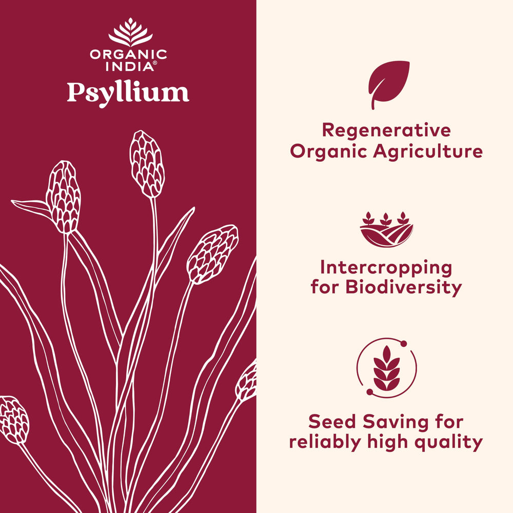 Organic India Psyllium Powder bottle showcases vegan, gluten-free fiber supplement