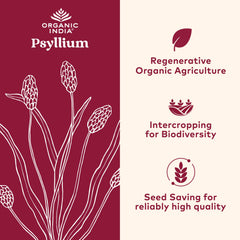 Organic India Psyllium Powder bottle showcases vegan, gluten-free fiber supplement