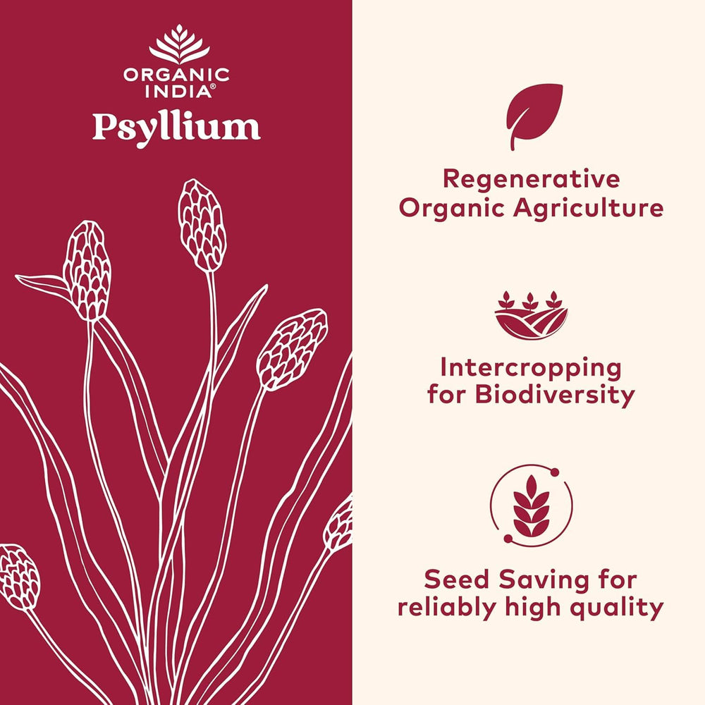 Organic India Psyllium powder scoop close-up shows measurement ideal for daily fiber intake.