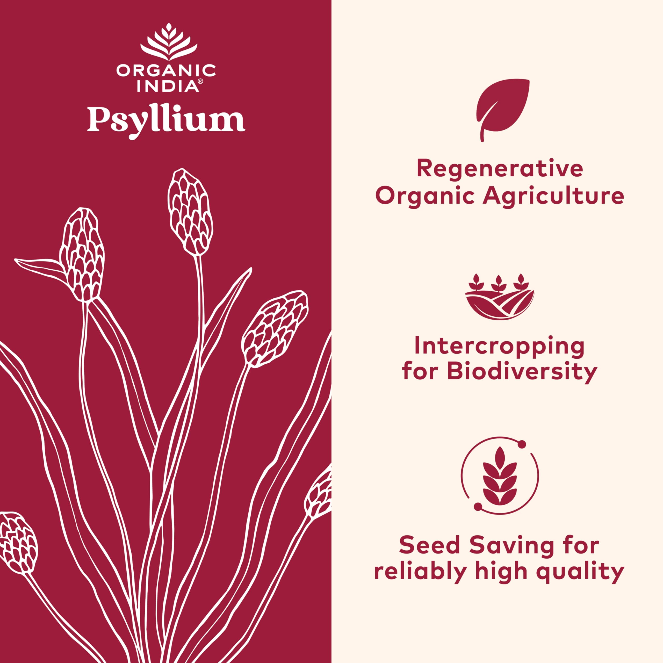 Organic India Psyllium scoop beside powder; easy measurement for daily fiber.