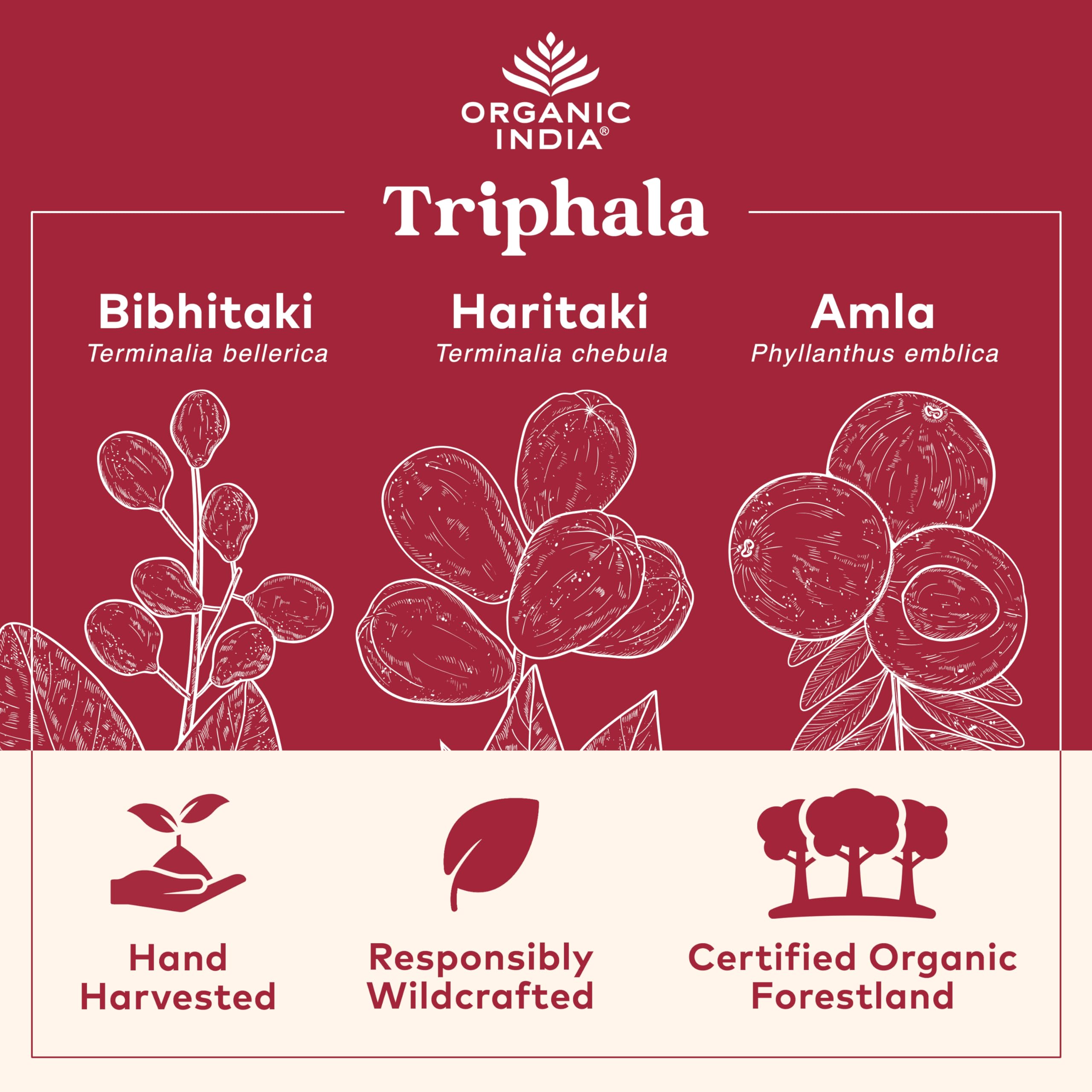 Organic India Triphala label close-up showing Amla Bibhitaki Haritaki blend for balanced digestion.