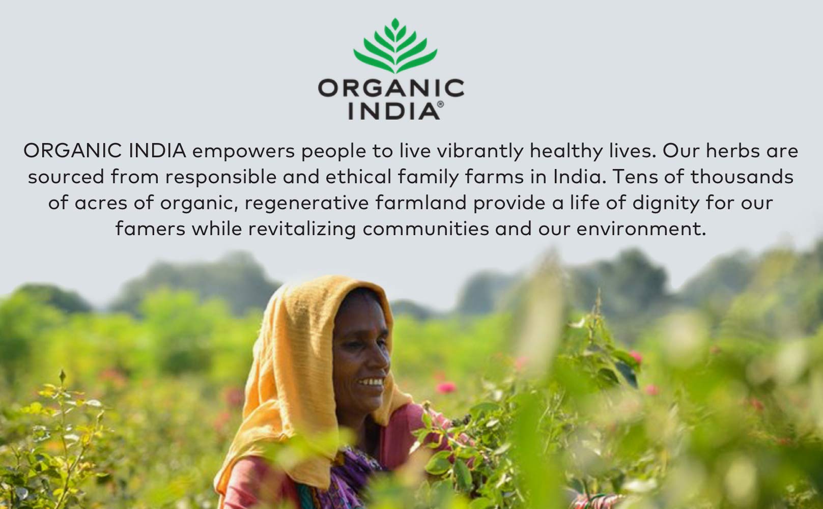 Organic India Triphala ingredients: amla, bibhitaki, haritaki.