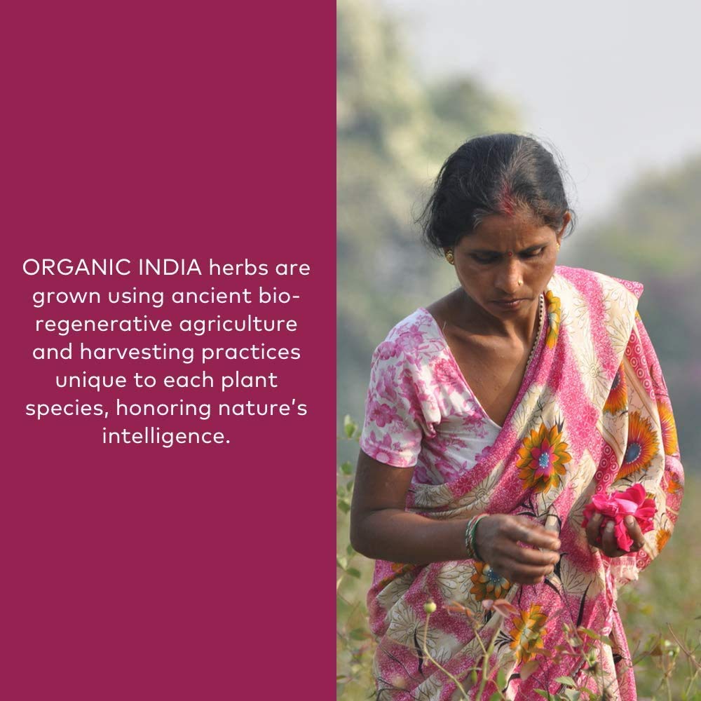 Measuring scoop dispensing Organic India Triphala powder for digestion.