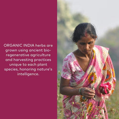 Measuring scoop dispensing Organic India Triphala powder for digestion.