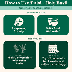 Fresh Tulsi leaves from Organic India indicating high-quality herbal sourcing.