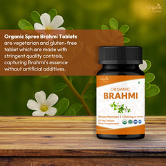 Organic Spree Brahmi leaf closeup shows bacopa source for calm focus