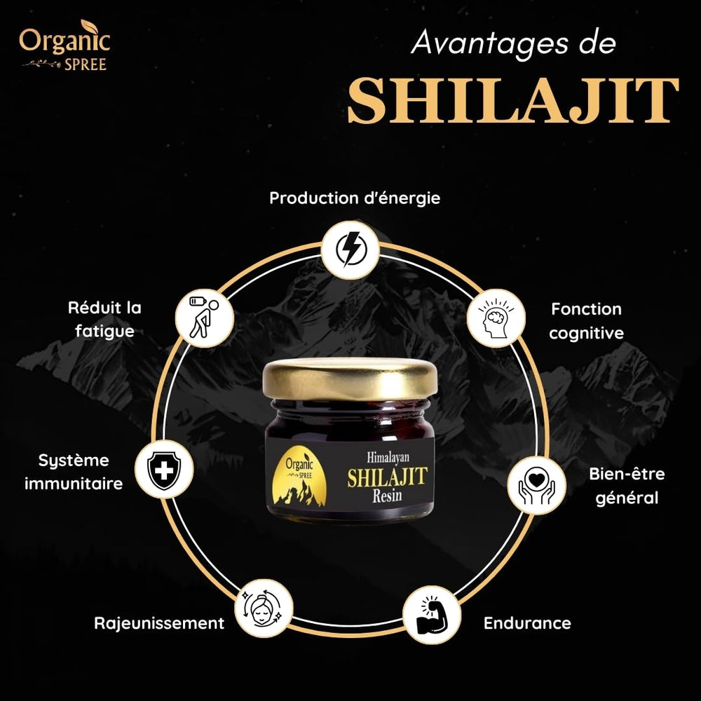 ORGANIC SPREE Himalayan Shilajit resin amber block with distinctive aroma.