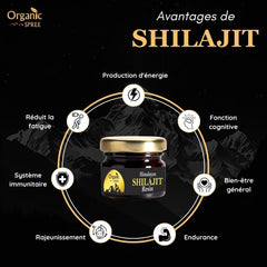 ORGANIC SPREE Himalayan Shilajit resin amber block with distinctive aroma.