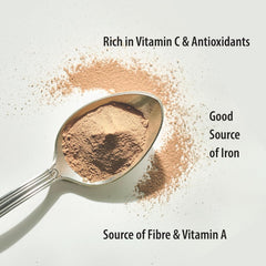 Organic Traditions Amla berry powder close-up showing fine texture for recipes.