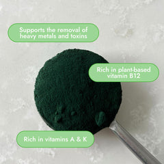 Organic Traditions spirulina powder in smoothie shows vibrant color and nutrients.