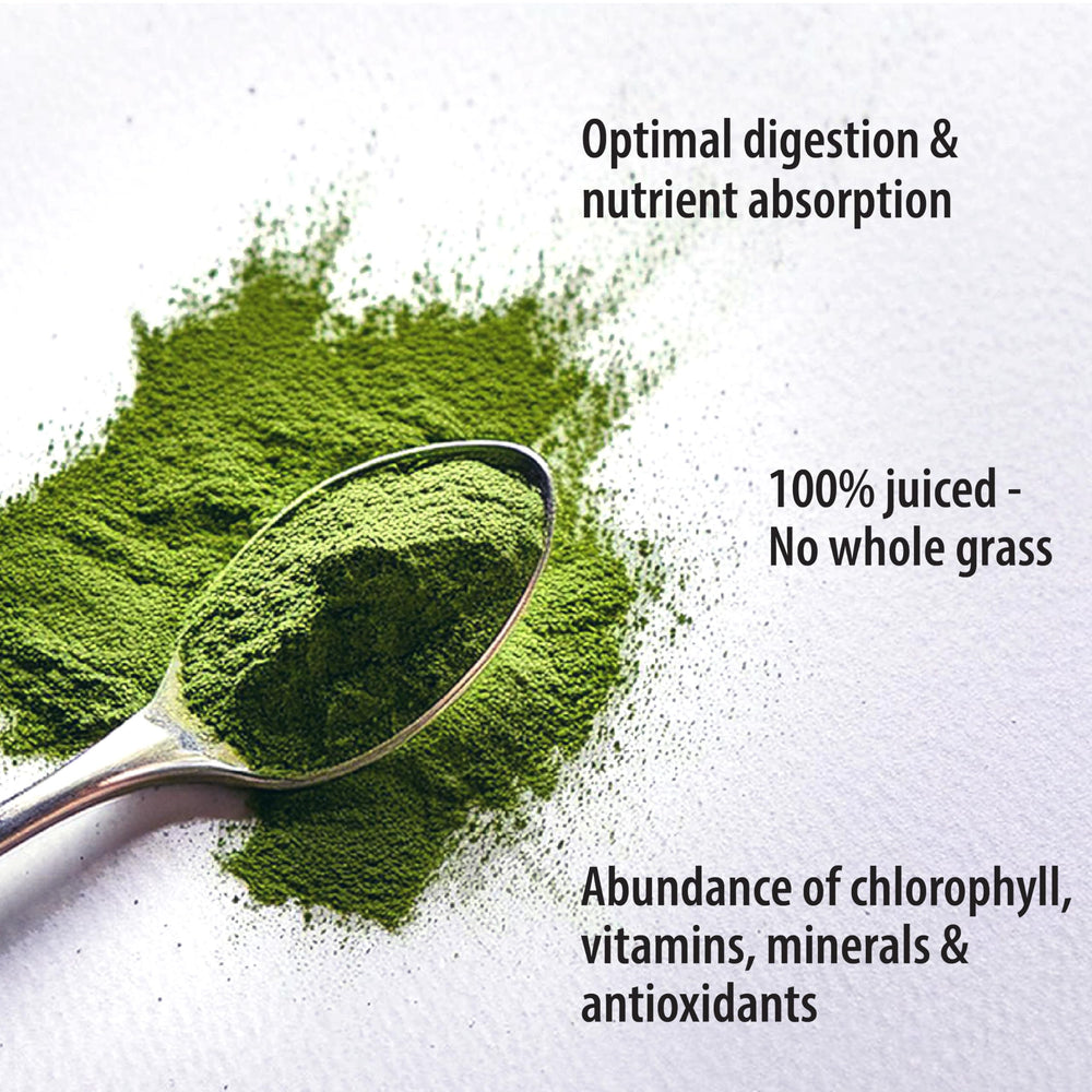 Organic Traditions wheat grass powder in a glass with liquid