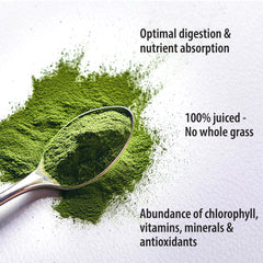 Organic Traditions wheat grass powder in a glass with liquid