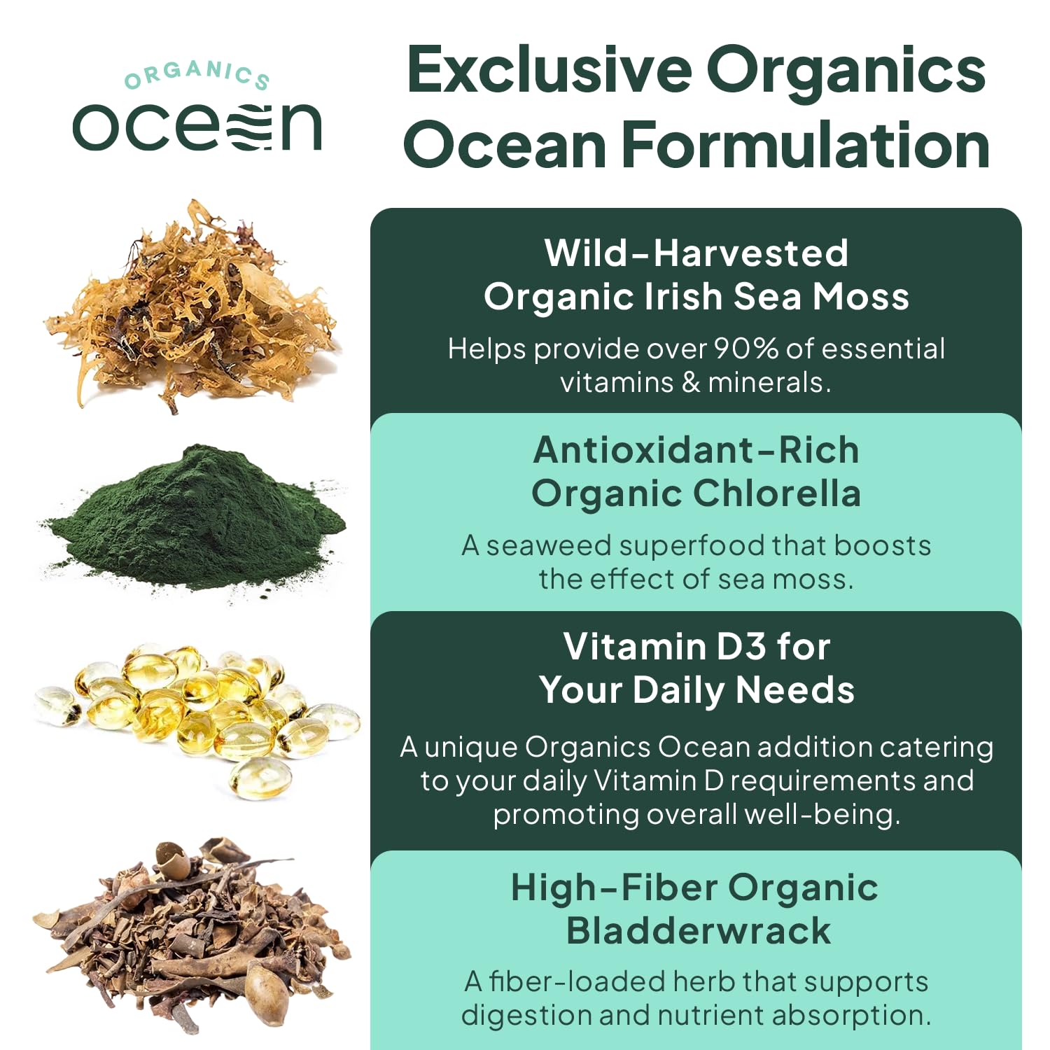 Organics Ocean Atlantic-sourced sea moss highlighting mineral-rich composition
