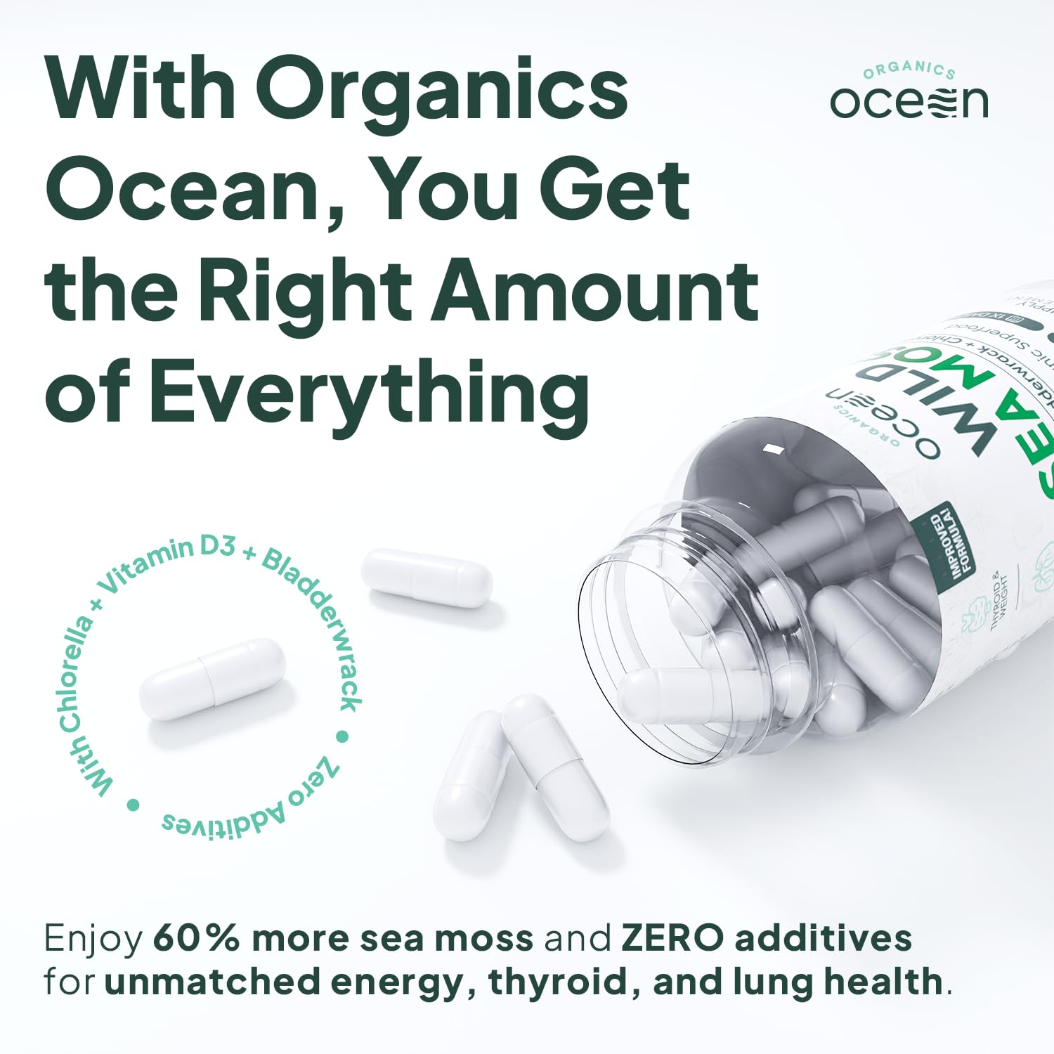 Organics Ocean bladderwrack-enhanced sea moss capsules for digestion support