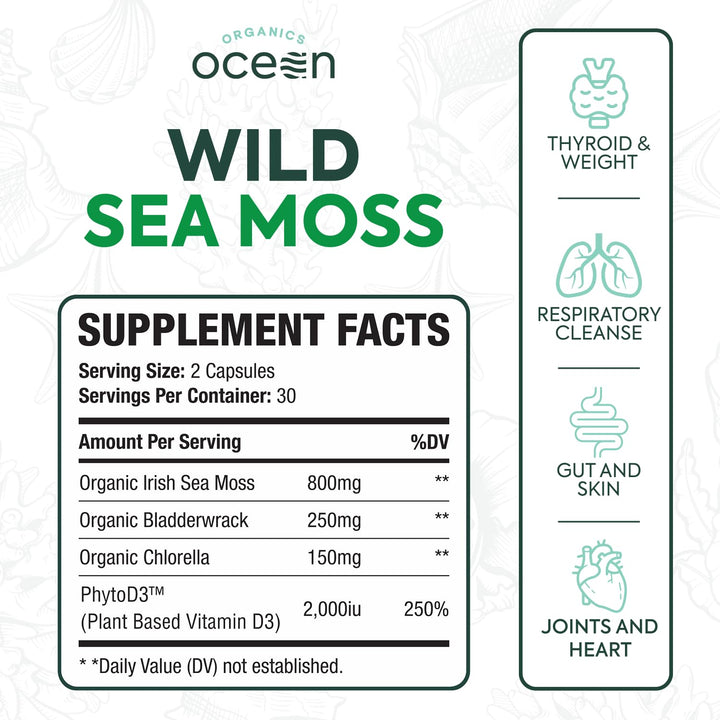Organics Ocean chlorella blend capsules highlighting antioxidant support