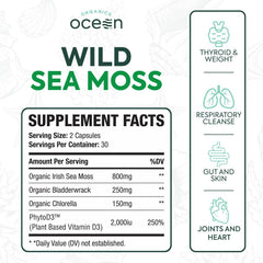 Organics Ocean chlorella blend capsules highlighting antioxidant support