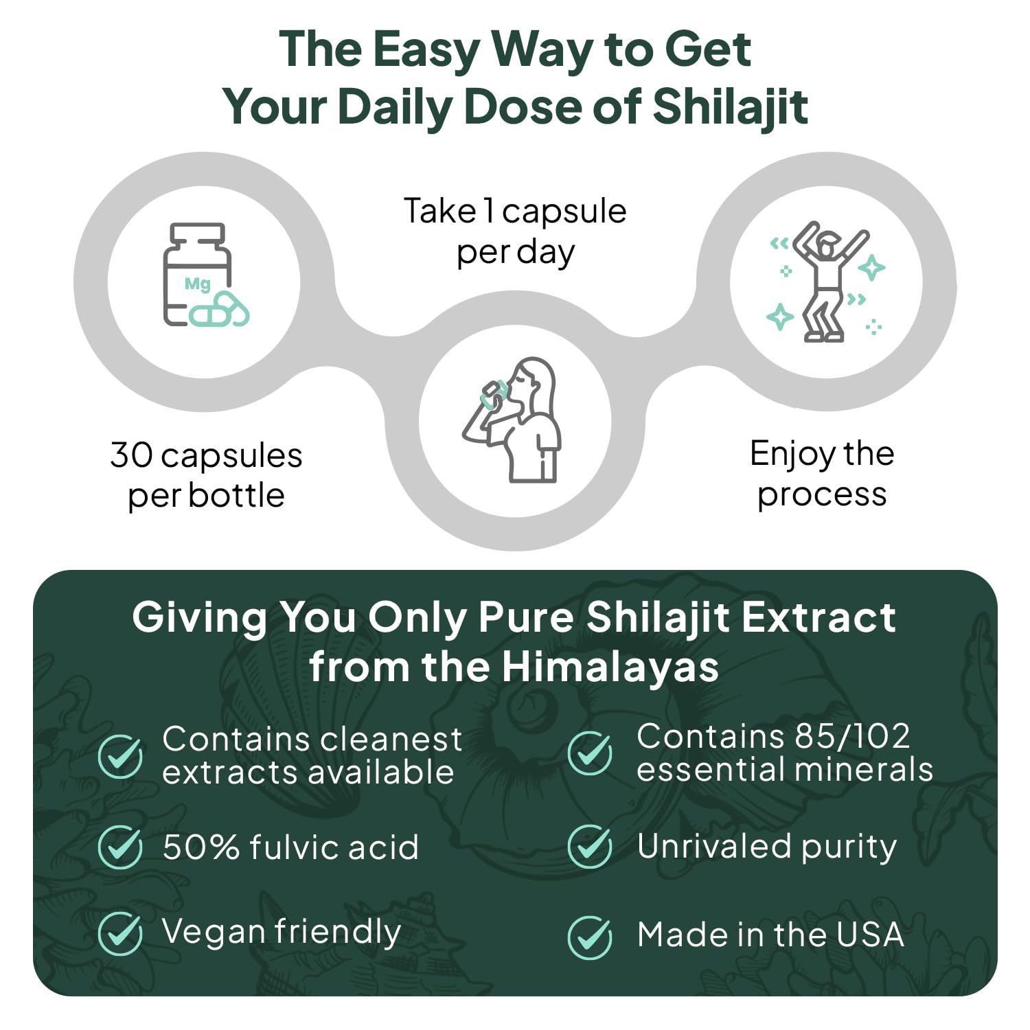 Organics Ocean daily-use shilajit shot suggests easy incorporation into routines