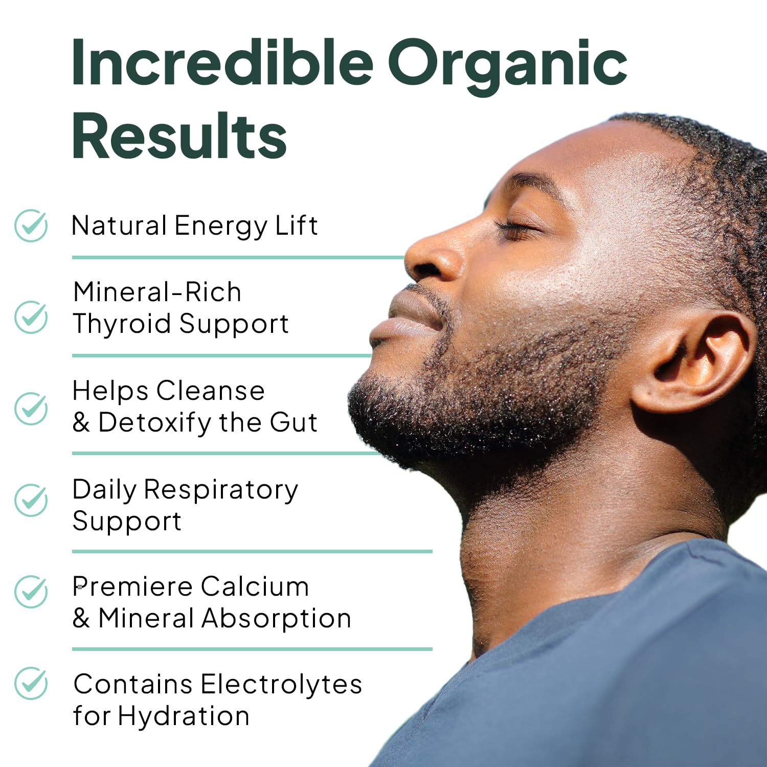 Organics Ocean sea moss capsules with vitamin D3 for energy and immunity