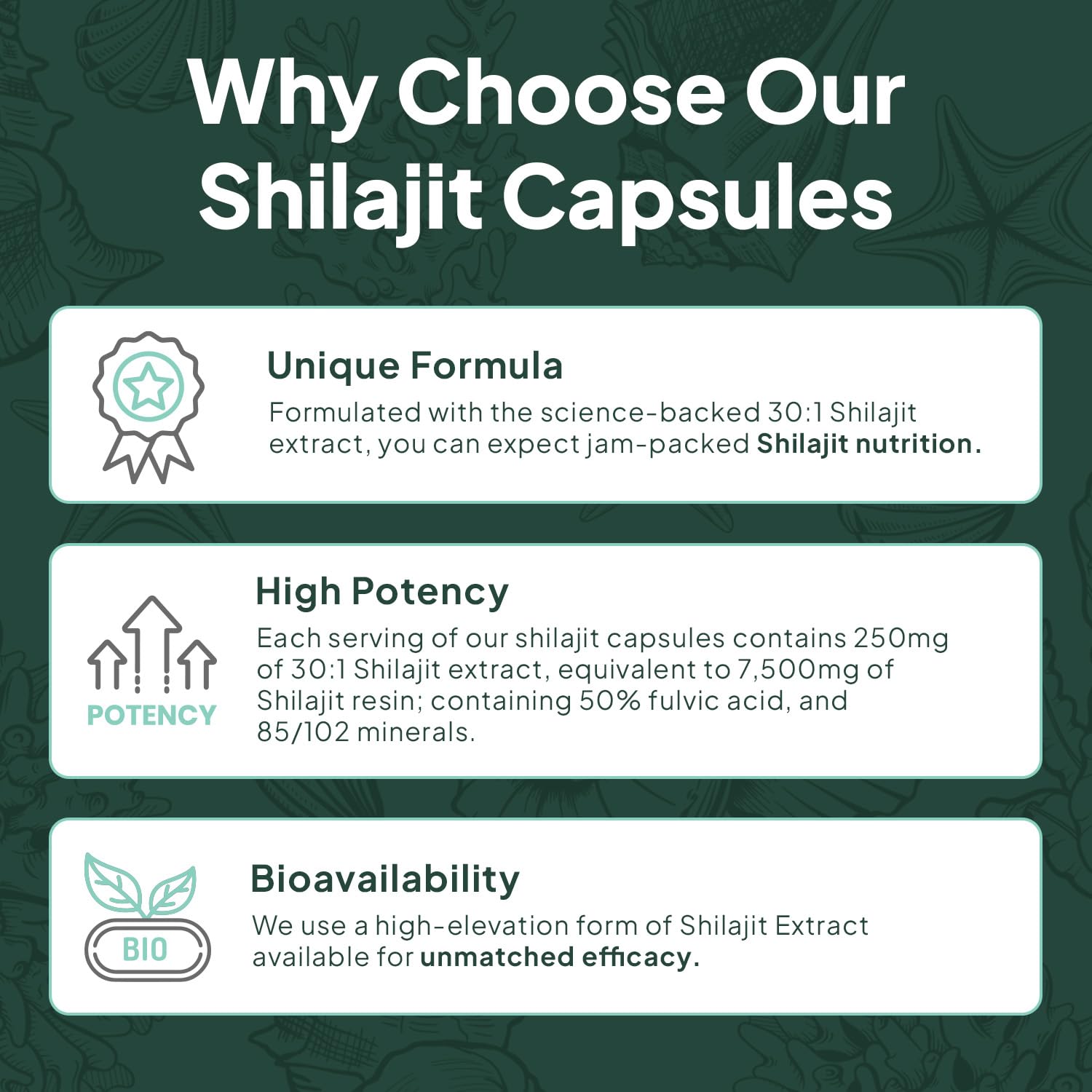 Organics Ocean vegan-friendly capsule underscores convenient daily use