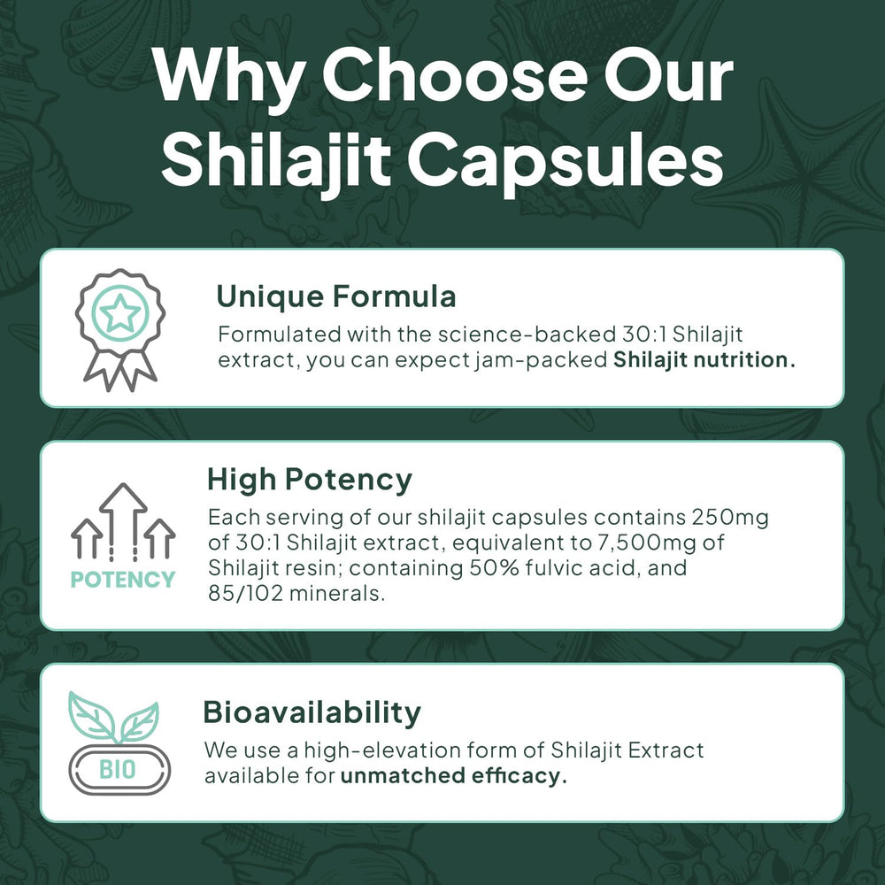 Organics Ocean vegan-friendly capsule underscores convenient daily use