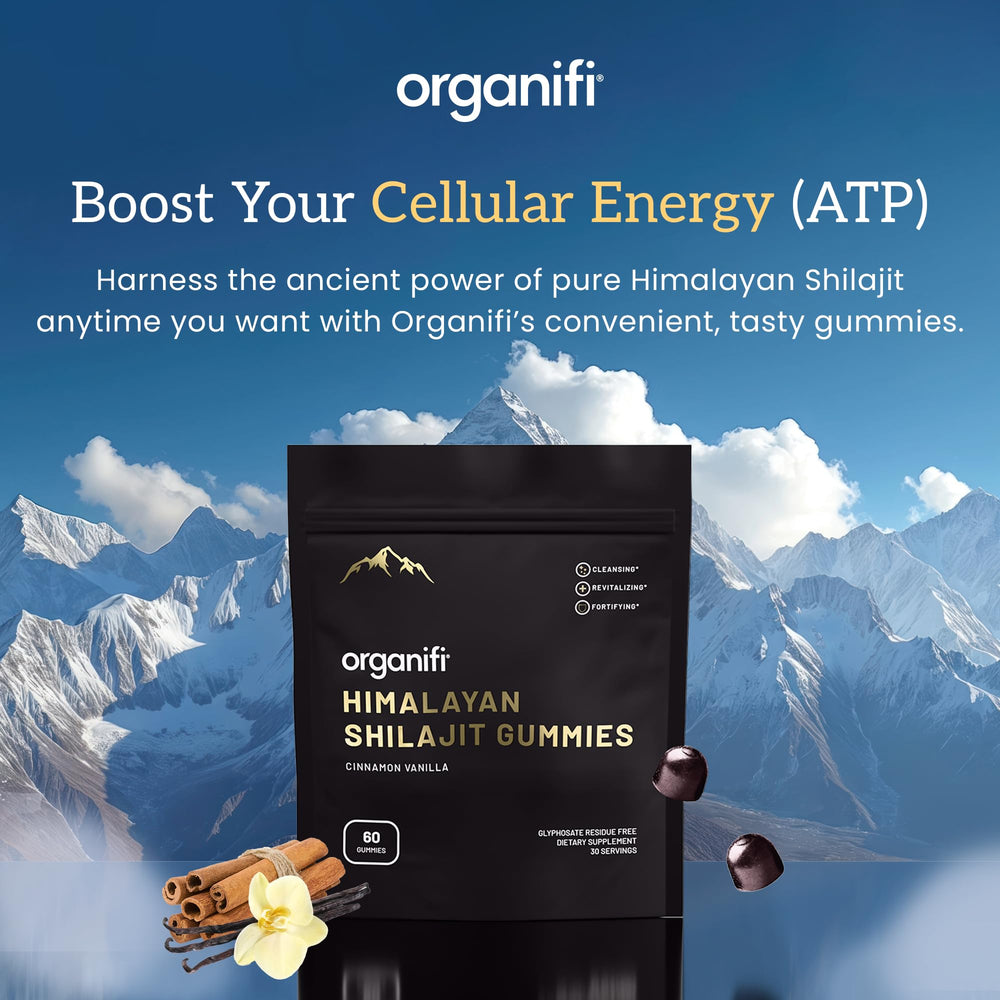 Organifi Shilajit Gummies jar closeup shows authentic PrimaVie Shilajit for energy support.