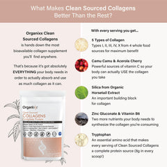 Close-up of Organixx Collagen Peptides powder texture in glass