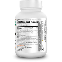 Fermentation process improves bioavailability in Organixx turmeric formula.