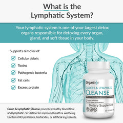 Organixx ingredients chart highlights fermentation-based potency.