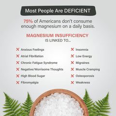 Organixx Magnesium 7 capsules show vegan, non-GMO formula for daily magnesium support.