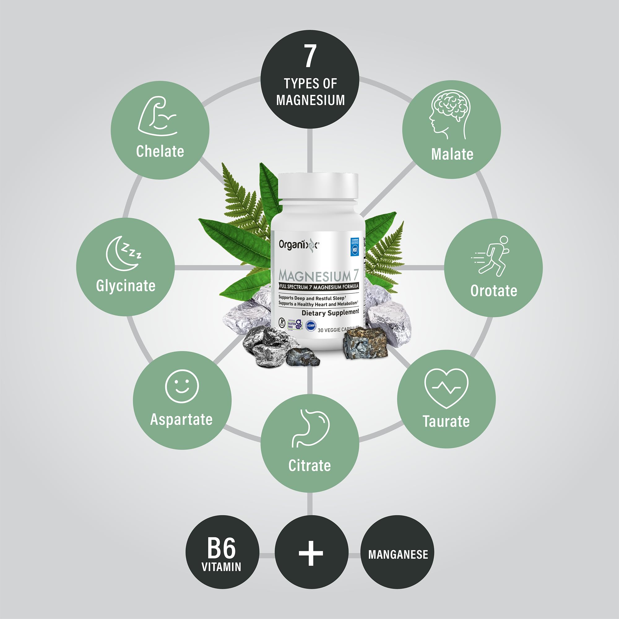 Organixx seven-forms graphic illustrates diverse magnesium types for broad support.