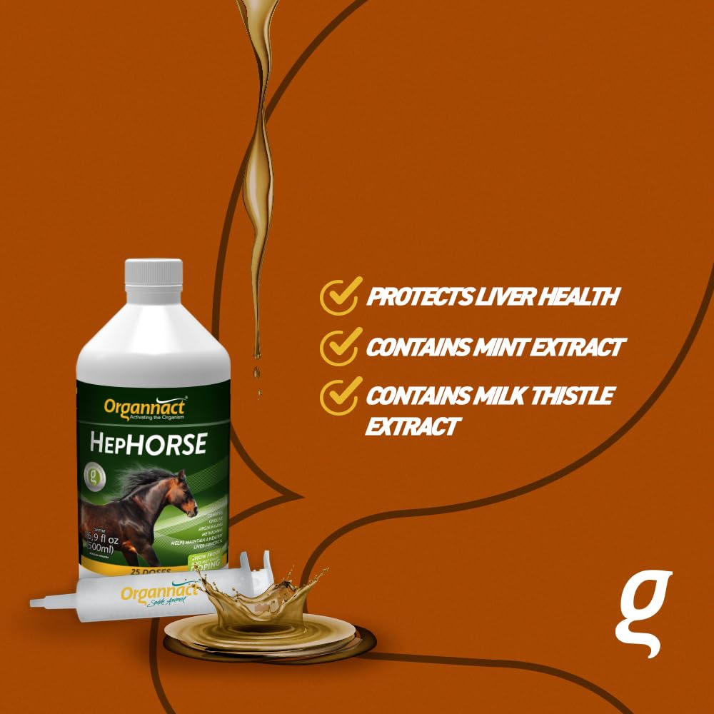 Organnact Hephorse bottle highlighting dandelion extract for anti-inflammatory GI benefits.